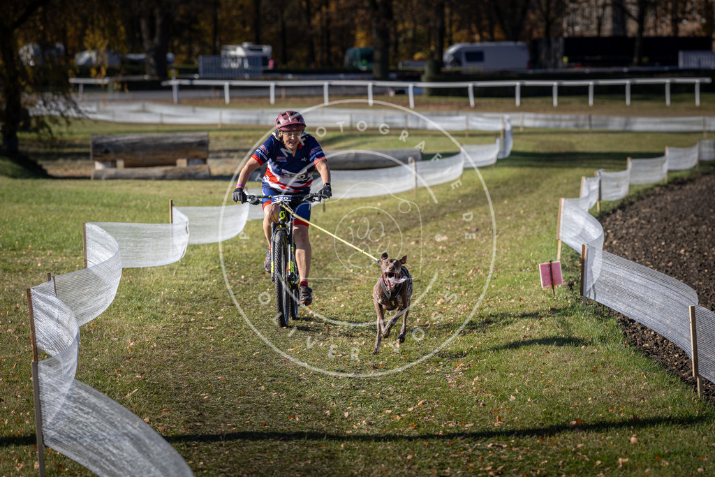 CaniXpix_DV3A6486 | Hundefotografie, Tierfotograf, Pfotenfotografie, Fotoshooting Hund, Hunde Portrait, Hundesport, Hundeportraits, Heideshooting, Hunde, Sportfotograf, Hundefotograf, Turnierhundsport, THS,  - Realisiert mit Pictrs.com