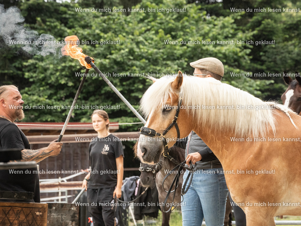 598A7947 | photographylinaismer - Realisiert mit Pictrs.com