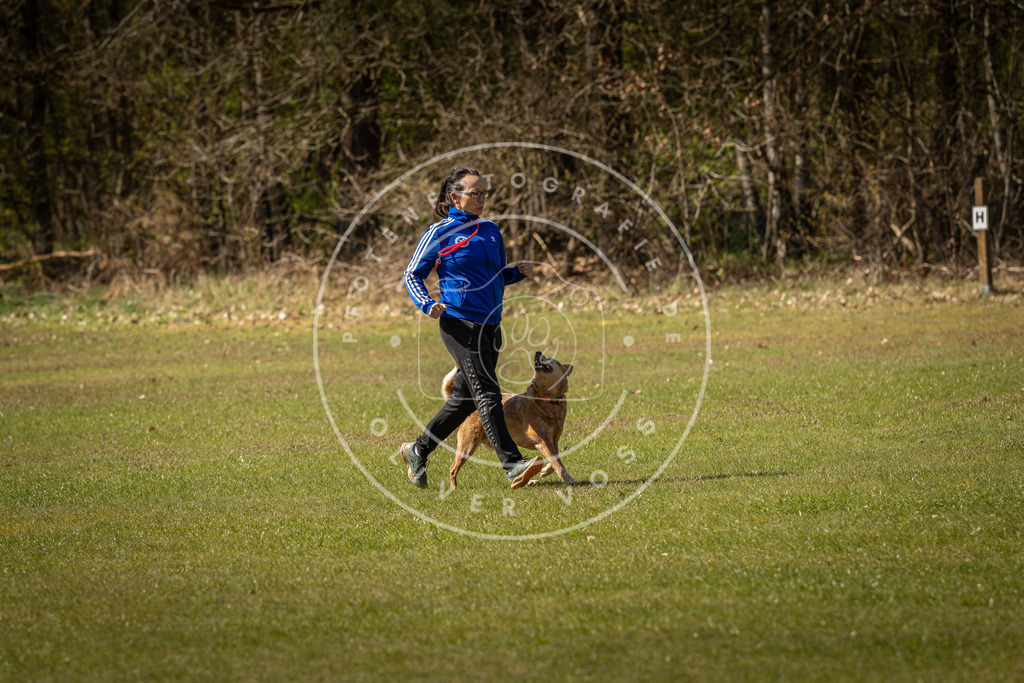 Pfotenfotografie_DV3A0854 | Hundefotografie, Tierfotograf, Pfotenfotografie, Fotoshooting Hund, Hunde Portrait, Hundesport, Hundeportraits, Heideshooting, Hunde, Sportfotograf, Hundefotograf, Turnierhundsport, THS,  - Realisiert mit Pictrs.com
