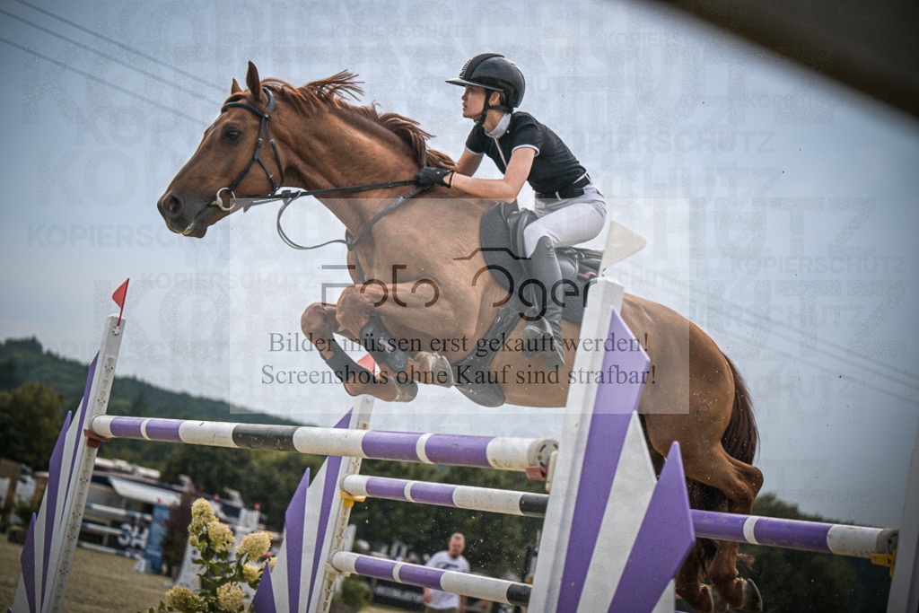 DOS_2098 | Entdecke hochwertige Reitturnierfotos von Foto Oger. Professionell, emotional und authentisch – jetzt Lieblingsmomente im Shop bestellen.Deutschlandweite Turnierfotografie. - Realisiert mit Pictrs.com