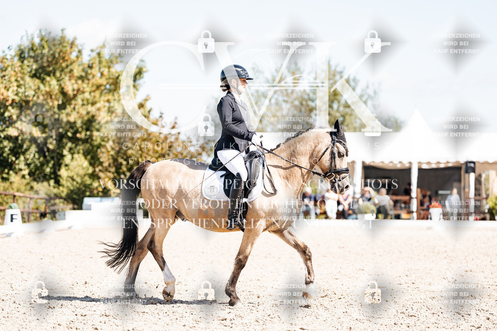 CK903824 | Turnierfotografie Pferdefotografie Trier Rheinland-Pfalz Pferdesport Reitsport Tierfotografie Sportfotografie Pferdevideo Pferdevideografie Equestrianvideography equestrianphotography  - Realisiert mit Pictrs.com