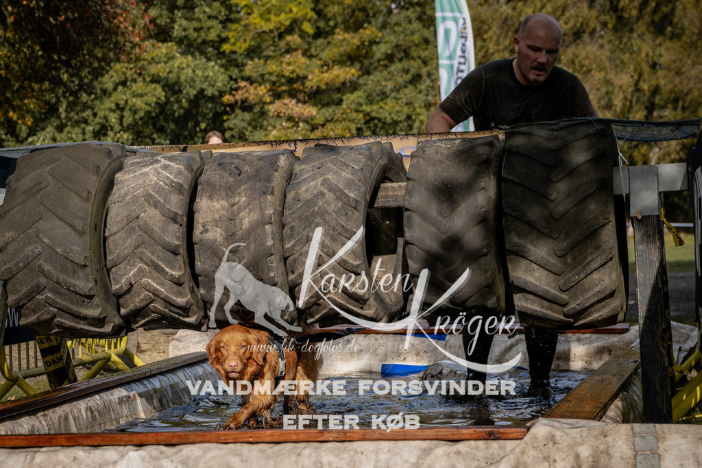 1310_ZZ92096 | kk-dogfotos