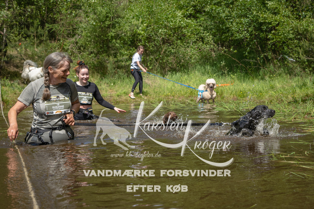 1216DKK992417 | kk-dogfotos