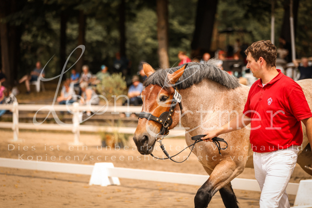 3.Sa00069 | Leoni Ertmer Photography - Realisiert mit Pictrs.com