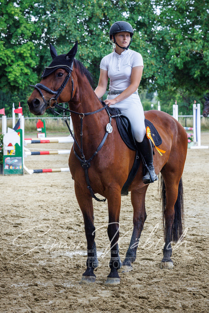 20260705-_3LI4708 | Tierfotografie Pferde, Hunde, Katzen, Haustiere.
Turnierfotografie Reitturniere, Reiten, Springreiten, Dressur in Hanau, dem Main-Kinzig-Kreis und dem Rhein-Main- Gebiet um Frankfurt