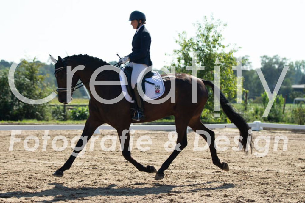 IMG_3253 | Creatify Fotografie