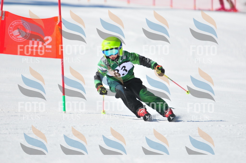 C3116 | holidayphoto