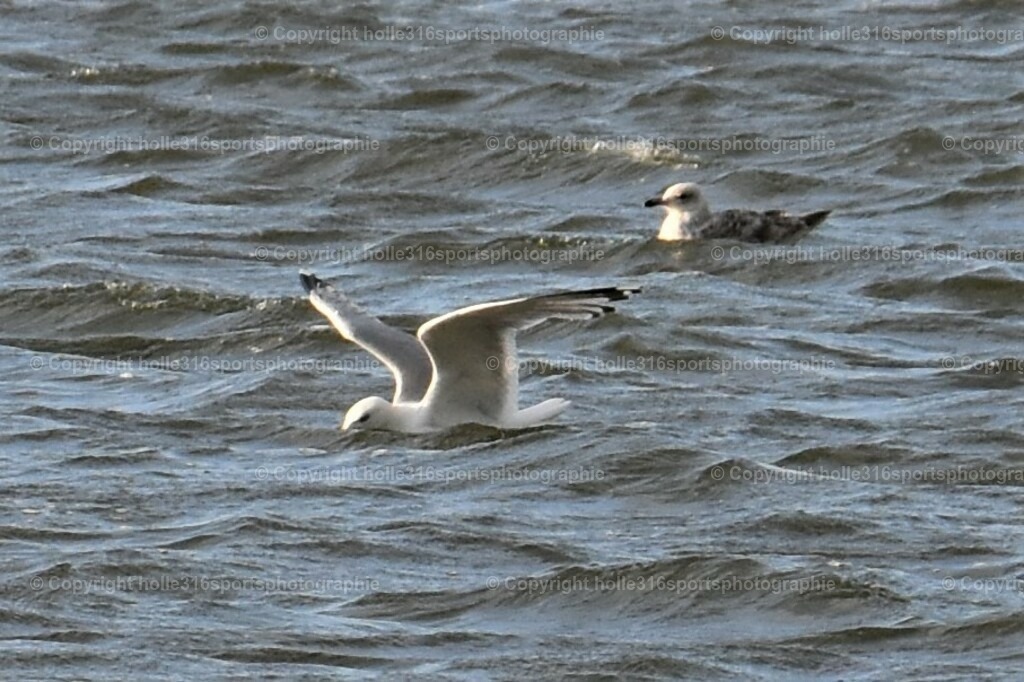 DSC_0194 (2) | Sportfotografie , Motorsport, Motoross, Reitsport, Mointainbike, Enduro,
Landschaft , Outdoor, Eventfotografie, Landschaft, Bilder online bestellen - Realisiert mit Pictrs.com