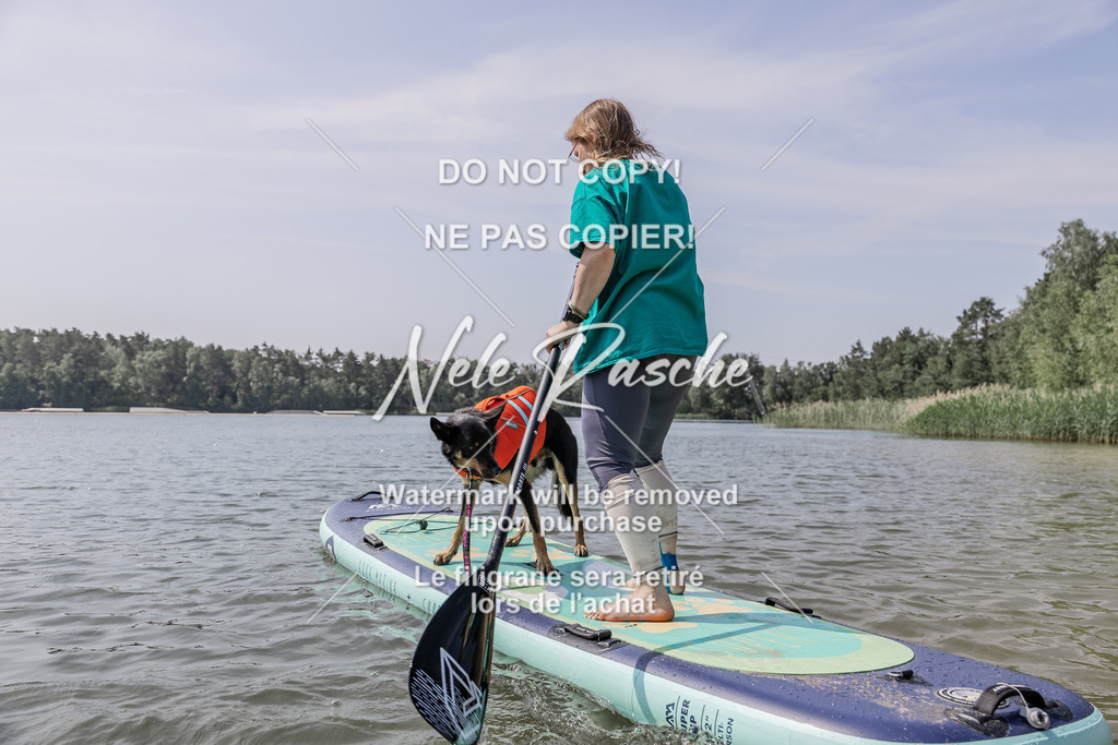 BUHU_SUP_546 | nelerasche