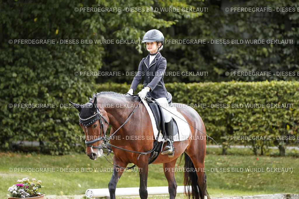 DSC05649 | Pferdegrafie