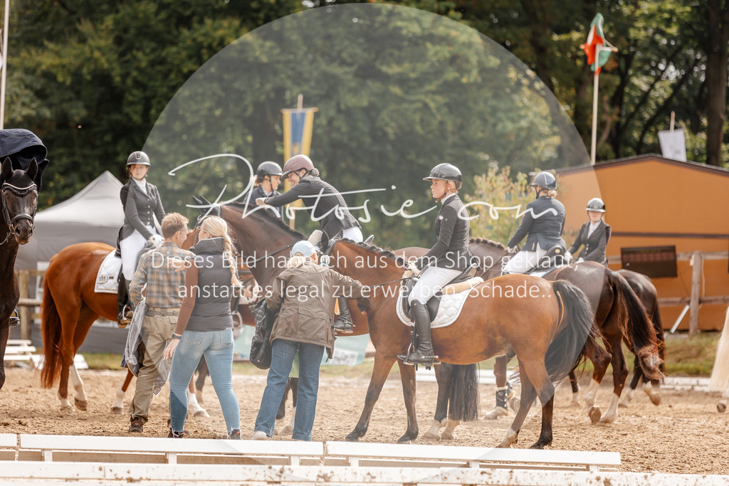 3I6A7681 | Stimmungsvolle Portraits und Reitsportfotografie im Ruhrgebiet und im Münsterland.

Pferdefotografie, Hundefotografie, Tierfotografie, Reportagen, Portraits von Tier und Mensch, Turnierfotografie in Bochum, Recklinghausen, Marl, Haltern am See, Dülmen.. - Realisiert mit Pictrs.com