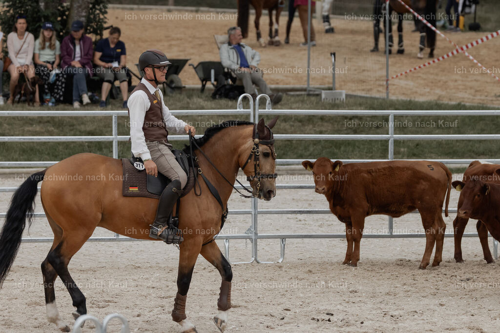 WE__Stoib_Rinder_PI2025_3008 | Pferd International München 2025