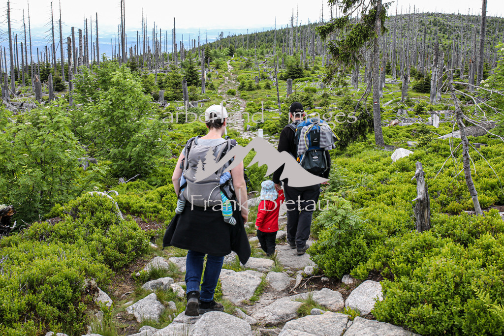 OE7A4039 | der Berg ist seit jeher Anziehungspunkt vieler Wanderer und Ausflügler. Der Grenzkamm Wanderweg im Dreiländereck