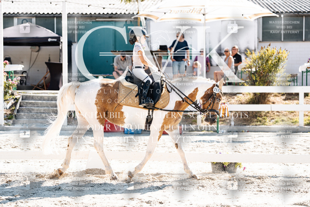 CK903256 | Turnierfotografie Pferdefotografie Trier Rheinland-Pfalz Pferdesport Reitsport Tierfotografie Sportfotografie Pferdevideo Pferdevideografie Equestrianvideography equestrianphotography  - Realisiert mit Pictrs.com