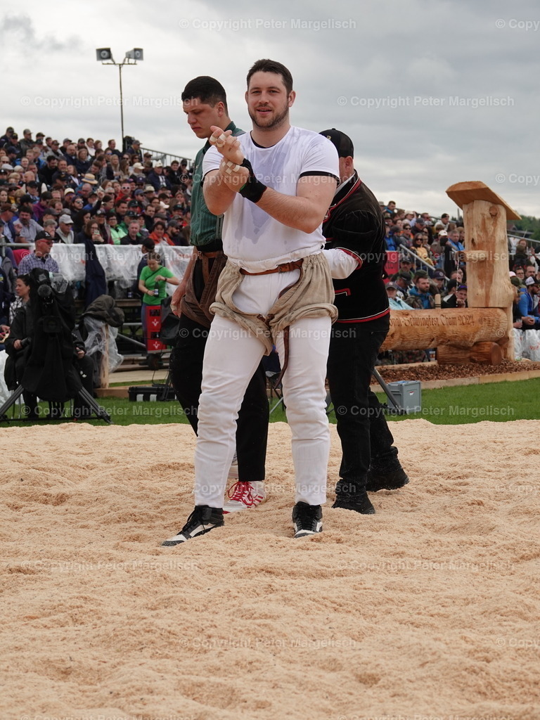 DSC06367 | Schwingen - Realisiert mit Pictrs.com