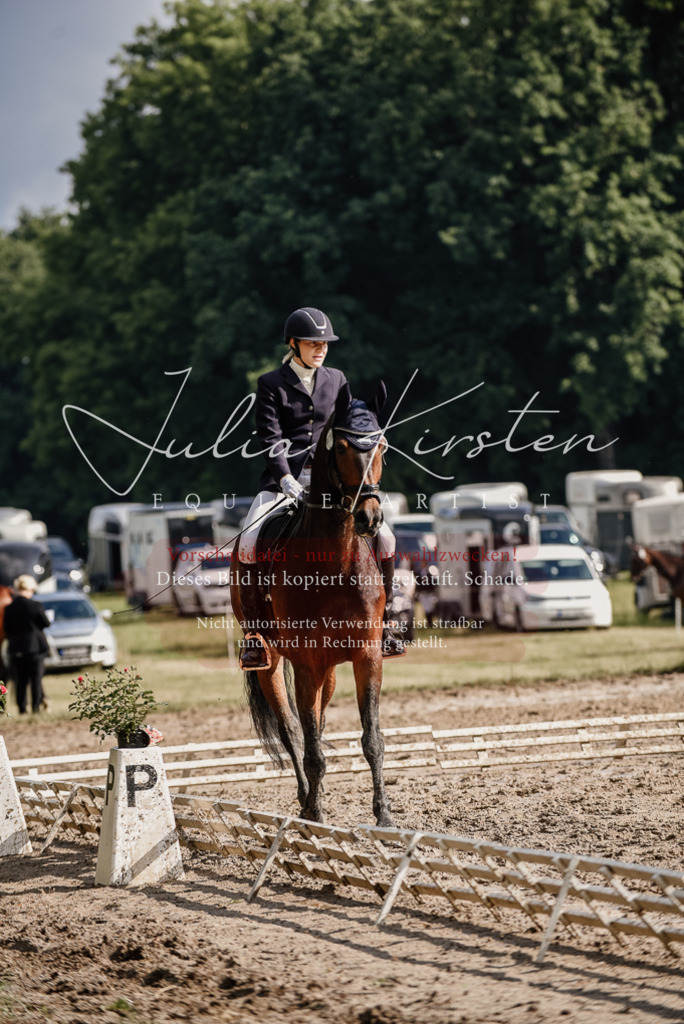 DSC_8791 | Pferde- und Turnierfotografie in Westsachsen. Pferdeportraits, Auftragszeichnungen und intuitive Kunst.