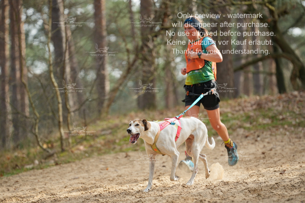 LangeCross-133 | stephaniefillaphotographie - Realisiert mit Pictrs.com