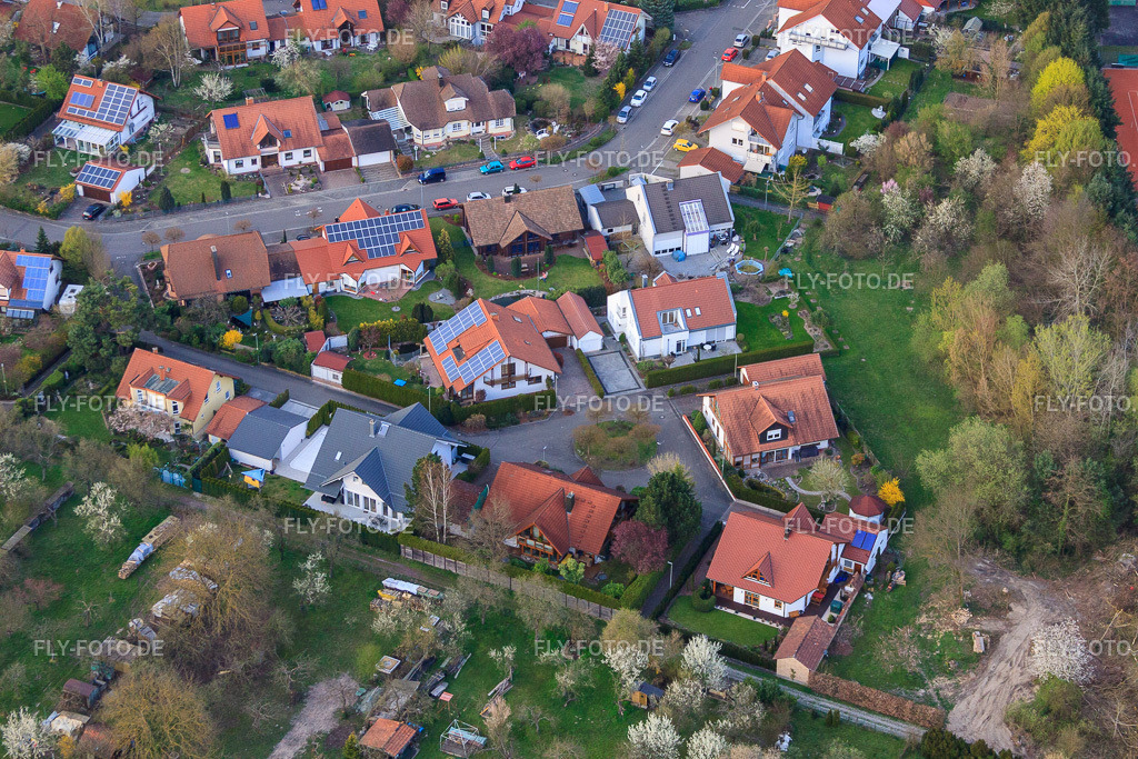 Orchideenstr | Luftbild: Orchideenstr in Jockgrim im Bundesland Rheinland-Pfalz in Deutschland. Foto: IMG_63424.jpg vom 28.03.2014 durch Werner Riehm/FLY-FOTO.de - Realisiert mit Pictrs.com