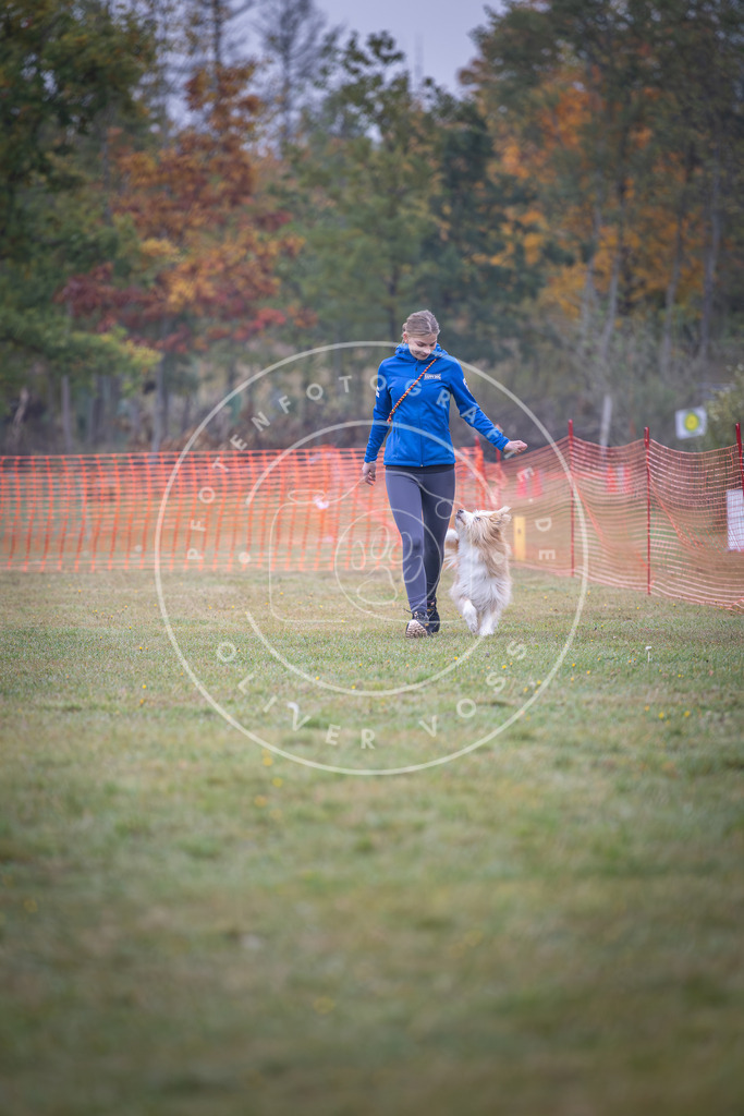 Pfotenfotografie_DV3A8714 | Hundefotografie, Tierfotograf, Pfotenfotografie, Fotoshooting Hund, Hunde Portrait, Hundesport, Hundeportraits, Heideshooting, Hunde, Sportfotograf, Hundefotograf, Turnierhundsport, THS,  - Realisiert mit Pictrs.com
