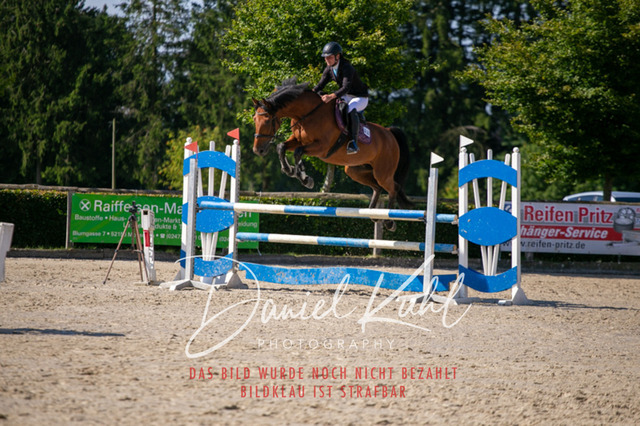 IMG_5391 | Turniersportfotografie; Pferdefotografie; Dressurfotografie