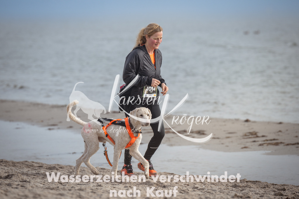 1200_ZZ93449 | kk-dogfotos