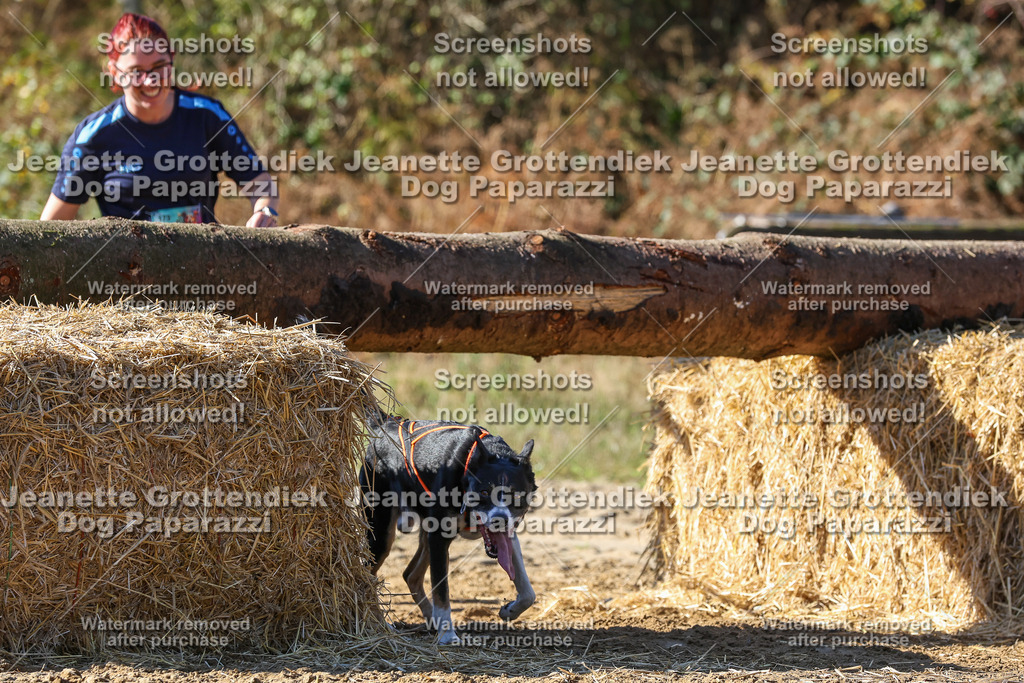 Dog Paparazzi - Strongdog 10-25-2872 | Dog Paparazzi Jeanette Grottendiek Fotografie & Videografie - Realisiert mit Pictrs.com