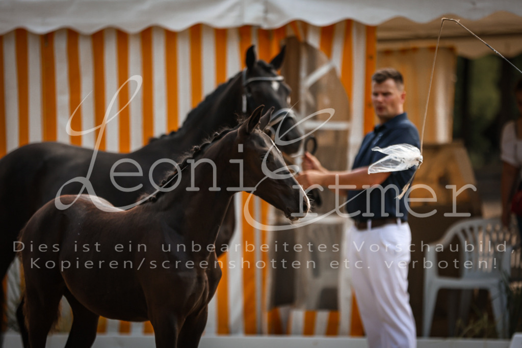 10.DoRP00066 | Leoni Ertmer Photography - Realisiert mit Pictrs.com