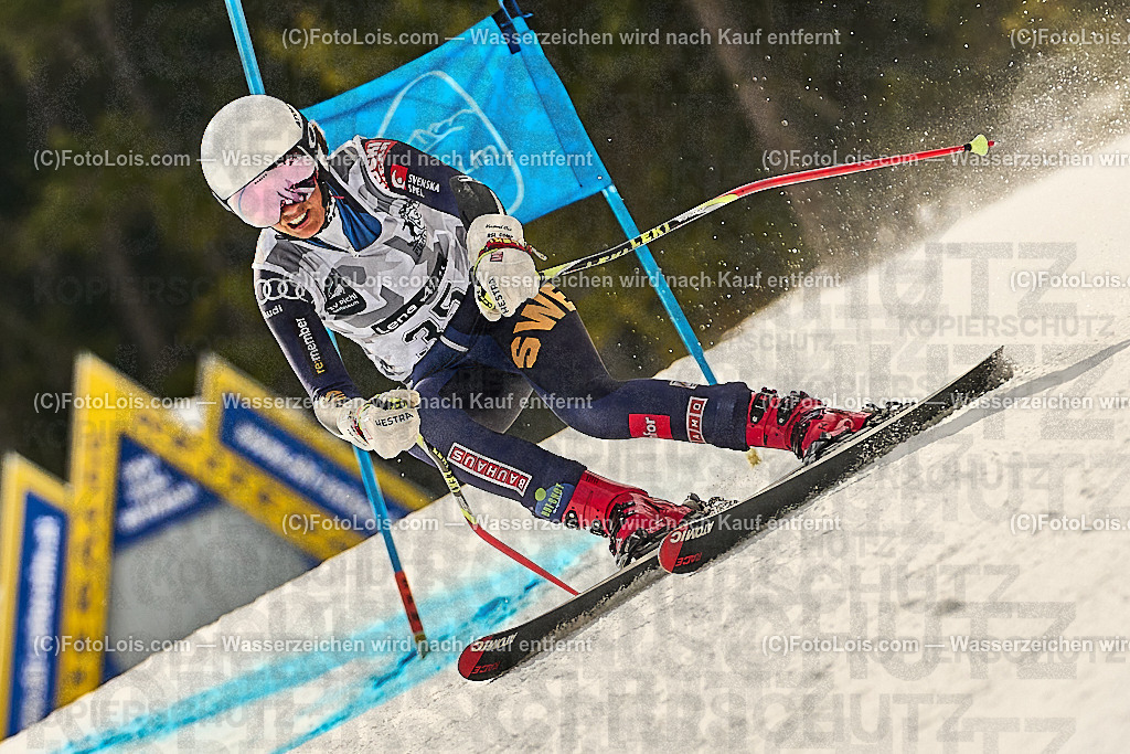 _WWO3643_MASTERS-WM_Reiteralm_CD-SG_Ortner Helena_ORTNER Helena | FISWORLD CHAMPIONSHIPSMASTERS ALPINE SKIING, 23. – 28. MÄRZ 2026 - REITERALM | STMK | AUT.   Veranstaltet vom Masters-Referat des Deutschen Skiverbandes (DSV). Durchführende Organisation: WSV Pichl-Reiteralm, unterstütutzt von den Bergbahnen REITERALM bei Schladming und SKI AUSTRIA.                            Disziplinen:  Super-G, GiantSlalom, Slalom.                                                 Kategorien:  A (Herrn 30-59 Jahre), B (Herrn ab 60 Jahre), C (Damen 30-59 Jahre), D (Damen ab 60 Jahre).                Rennstrecken:   Gasselhöhe und Muldenliftpiste auf der Reiteralm.