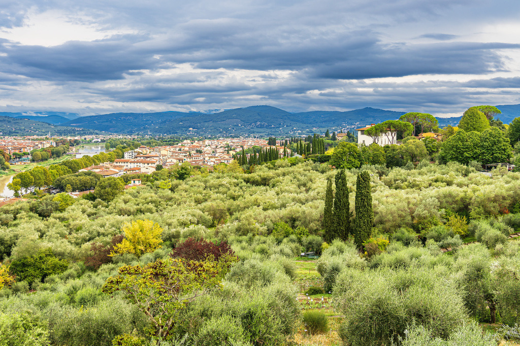 Blick auf Bäume und Häuser in Florenz, Italien | Blick auf Bäume und Häuser in Florenz, Italien.