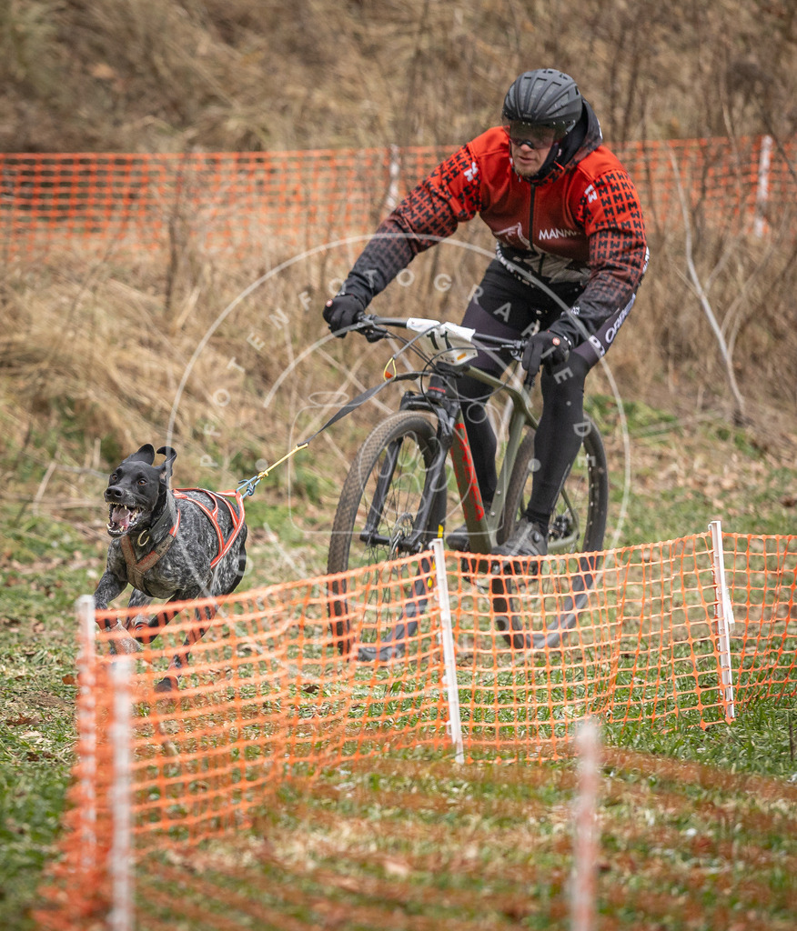 Pfotenfotografie_DV3A6727 | Hundefotografie, Tierfotograf, Pfotenfotografie, Fotoshooting Hund, Hunde Portrait, Hundesport, Hundeportraits, Heideshooting, Hunde, Sportfotograf, Hundefotograf, Turnierhundsport, THS,  - Realisiert mit Pictrs.com
