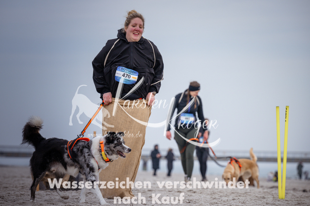 1212_ZZ92552 | kk-dogfotos