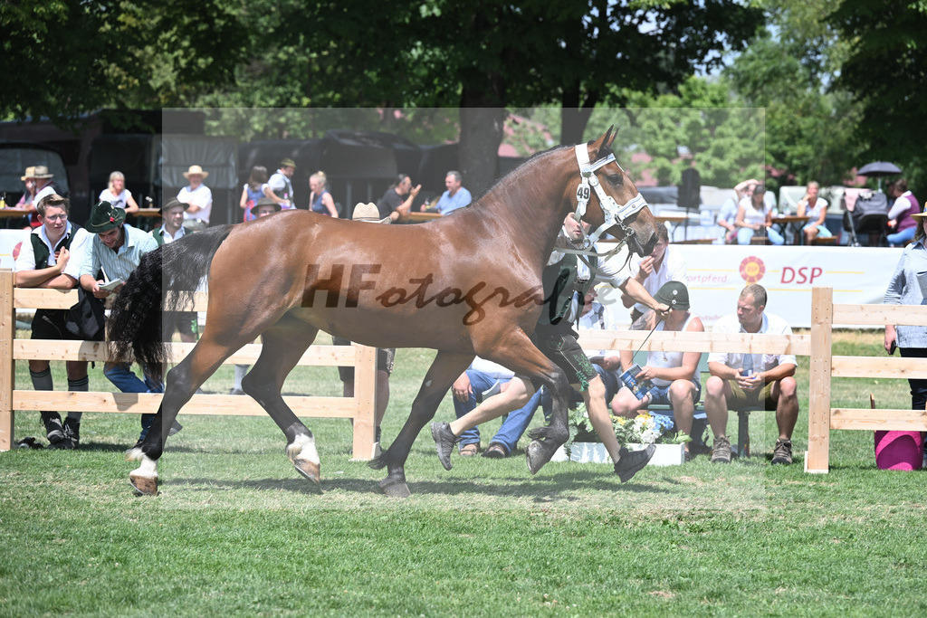 Kat-Nr. 49 Zoraya_Kotz_20230779 | hf-fotografie - Realisiert mit Pictrs.com