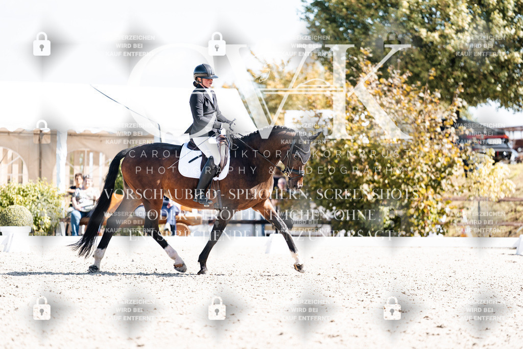 CK903477 | Turnierfotografie Pferdefotografie Trier Rheinland-Pfalz Pferdesport Reitsport Tierfotografie Sportfotografie Pferdevideo Pferdevideografie Equestrianvideography equestrianphotography  - Realisiert mit Pictrs.com