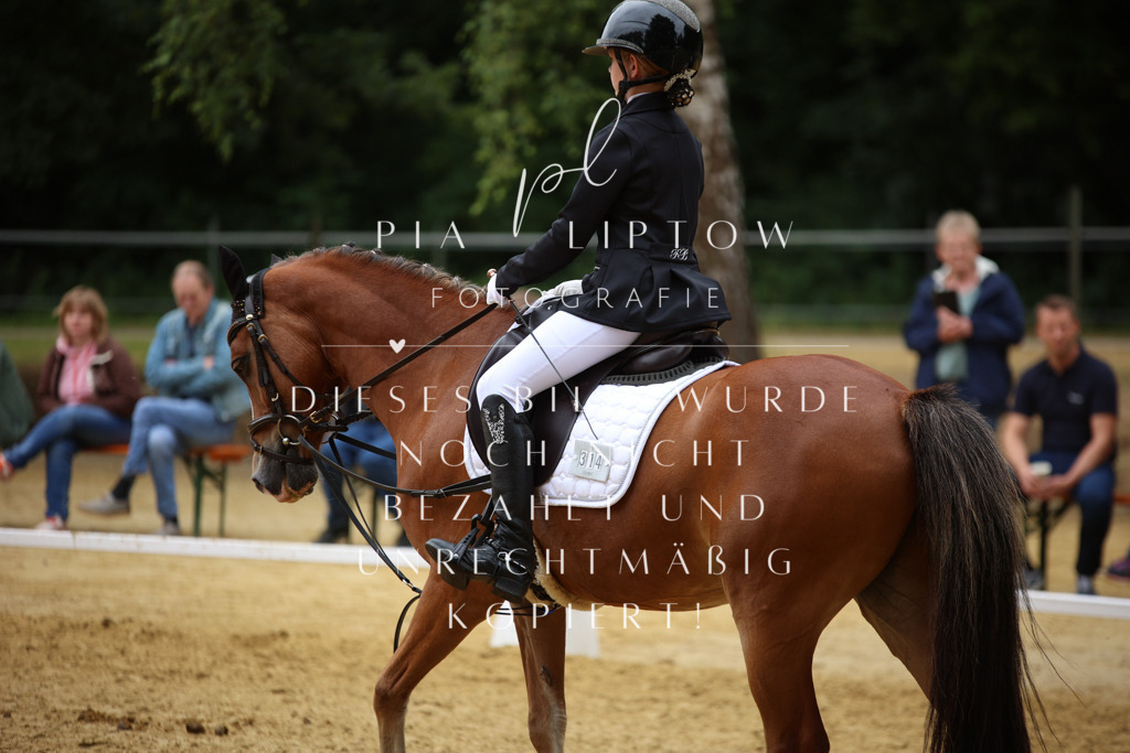 IMGM2622 | pl-fotografie