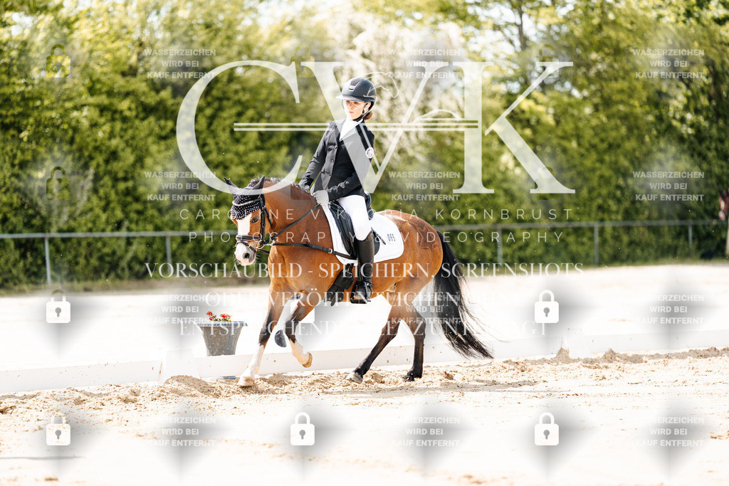 CK901720 | Turnierfotografie Pferdefotografie Trier Rheinland-Pfalz Pferdesport Reitsport Tierfotografie Sportfotografie Pferdevideo Pferdevideografie Equestrianvideography equestrianphotography  - Realisiert mit Pictrs.com