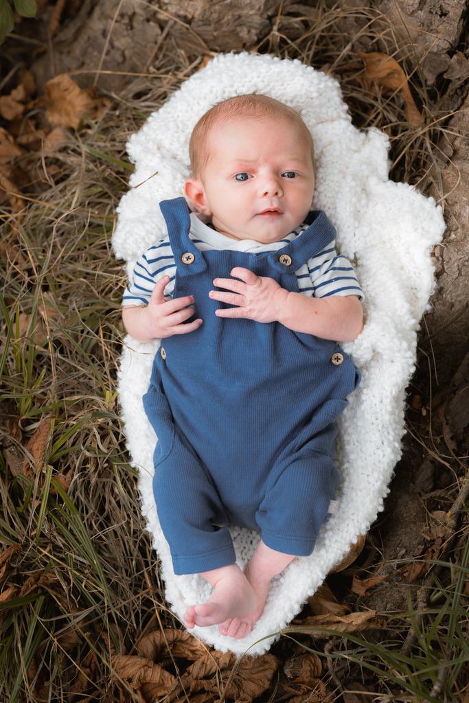 ZD260823162820 | Fotoshop von zweidimensional Fotografie. Ihr Fotograf im Aargau. Abzüge von Ihrem Fotobox Event bestellen.Abzüge von Ihrem Hochzeit bestellen.Abzüge von Ihrem Schulfotograf bestellen.