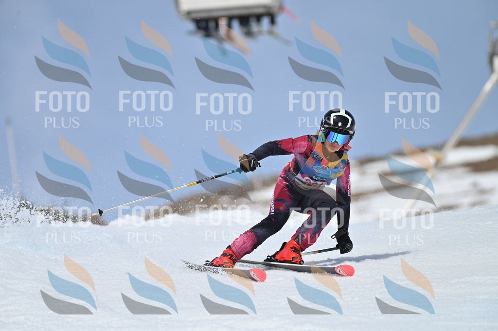 BGV_4195 | holidayphoto