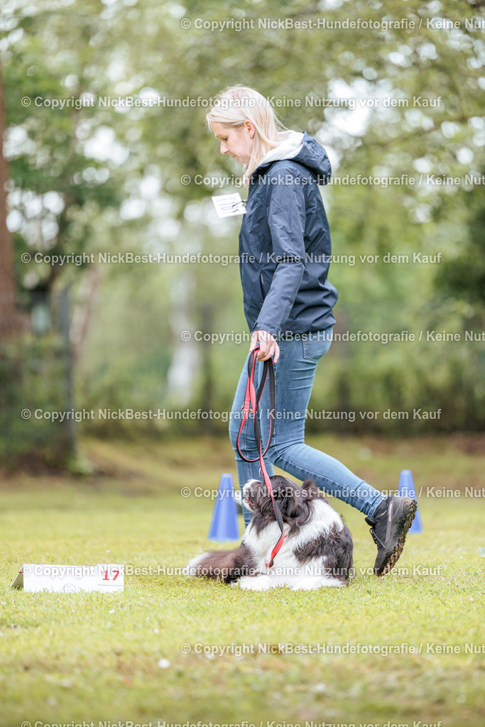RO-Blumenthal-2026-Nickbest-Hundefotografie-5214 | Dein Hund! Dein Moment! Deine Erinnerungen! Hundefotografie in Bremen Blumenthal. Ich fange die besonderen Momente deines Vierbeiners ein – ob Indoor mit Blitzanlage oder in der freien Natur. Sicher dir dein Moment und dein Termin für eure Erinnerungen.