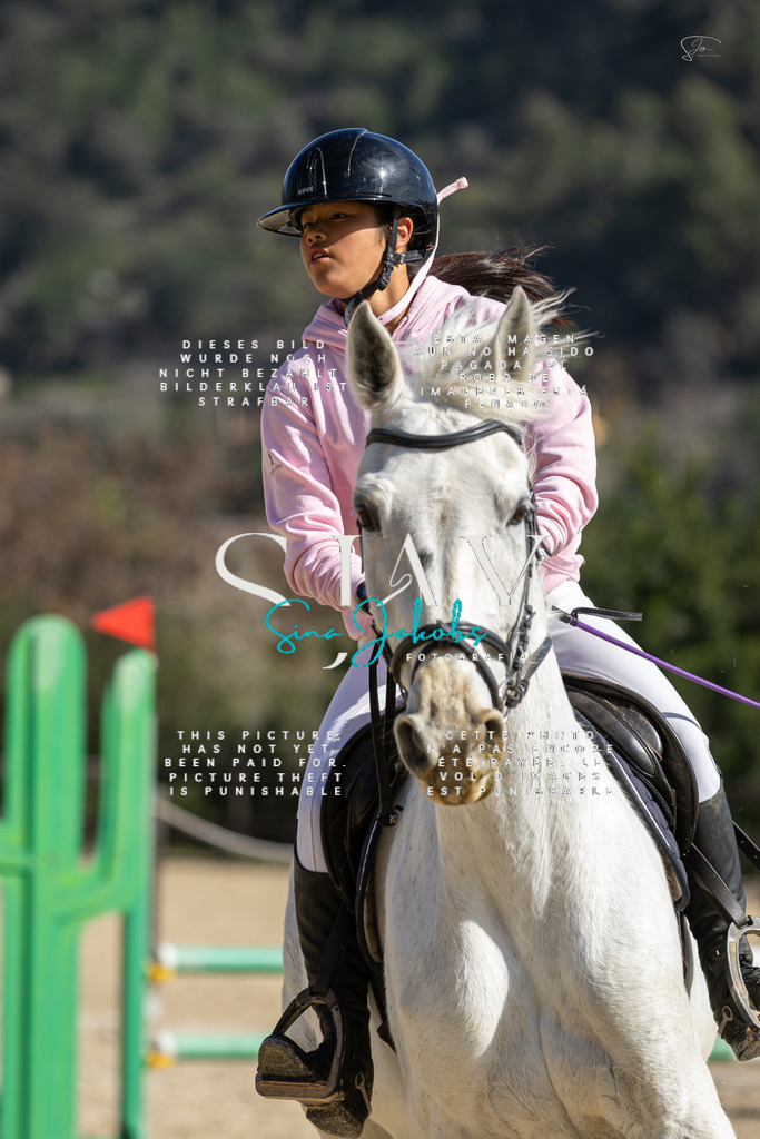 IMG_6208 | s-jay-photography - Realisiert mit Pictrs.com