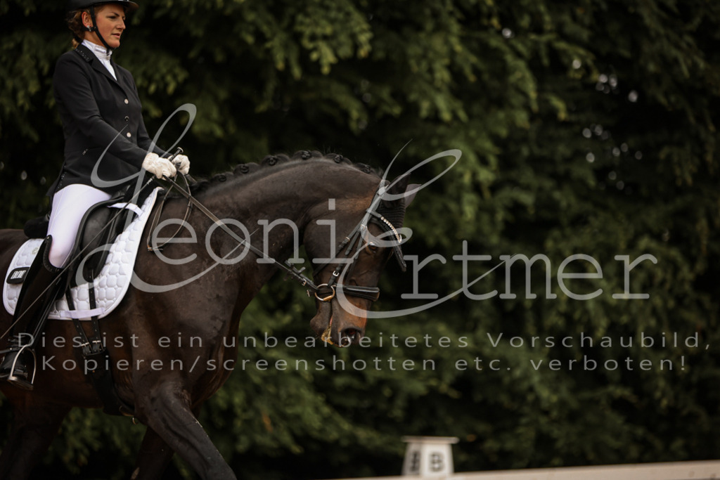 DoDrA200087 | Leoni Ertmer Photography - Realisiert mit Pictrs.com