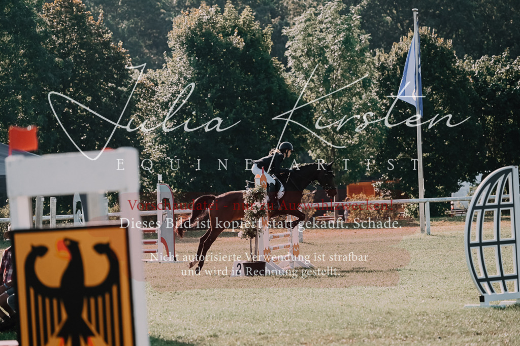 DSC_4683 | Pferde- und Turnierfotografie in Westsachsen. Pferdeportraits, Auftragszeichnungen und intuitive Kunst.
