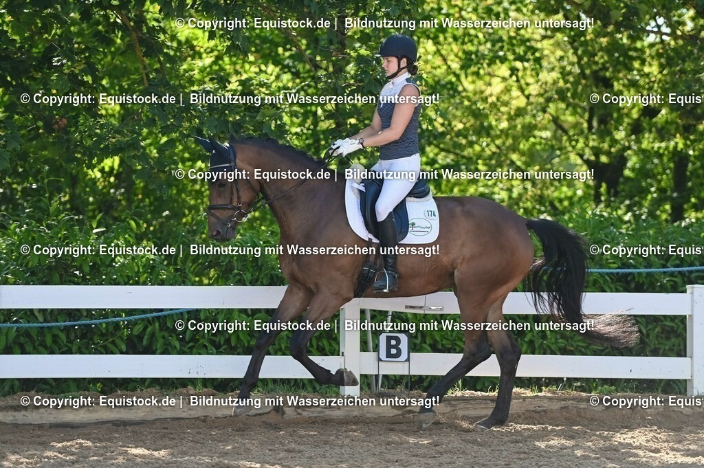 20230715_06_Dressurpferdeprfg. Kl.A_0407 | equistock