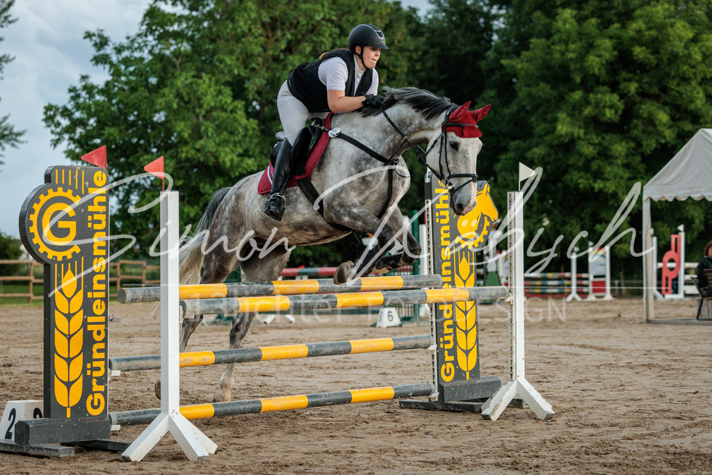 20260531-_3LI3557 | Tierfotografie Pferde, Hunde, Katzen, Haustiere.
Turnierfotografie Reitturniere, Reiten, Springreiten, Dressur in Hanau, dem Main-Kinzig-Kreis und dem Rhein-Main- Gebiet um Frankfurt