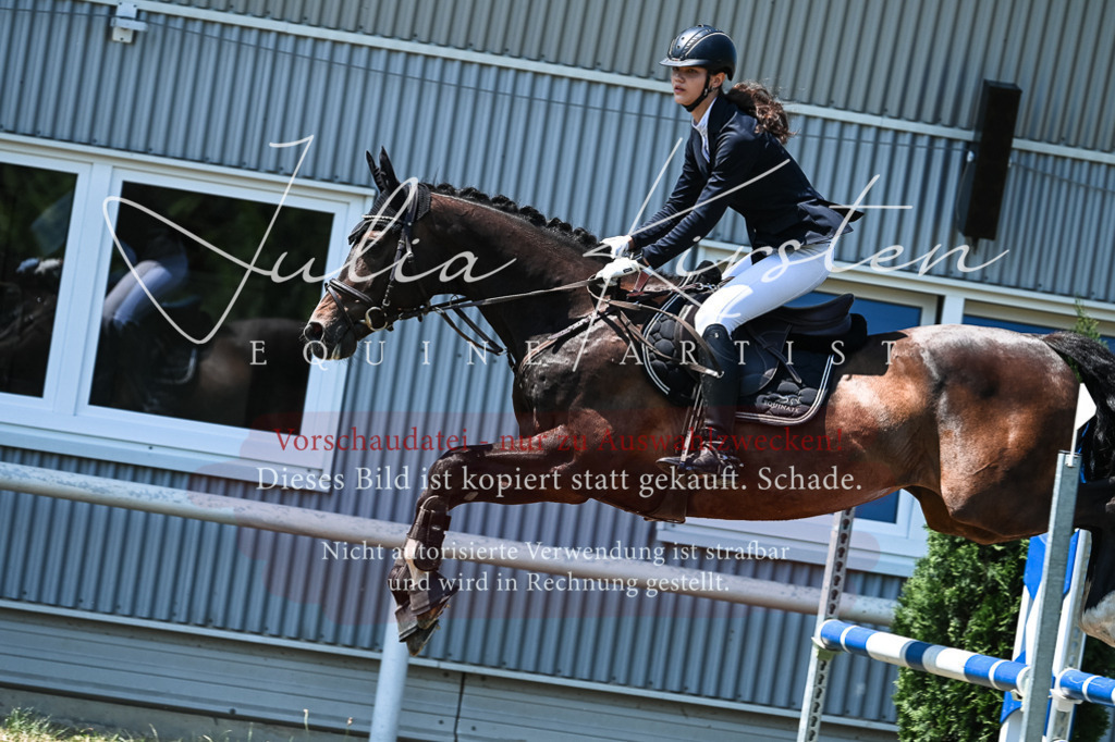 DSC_0447 | Pferde- und Turnierfotografie in Westsachsen. Pferdeportraits, Auftragszeichnungen und intuitive Kunst.