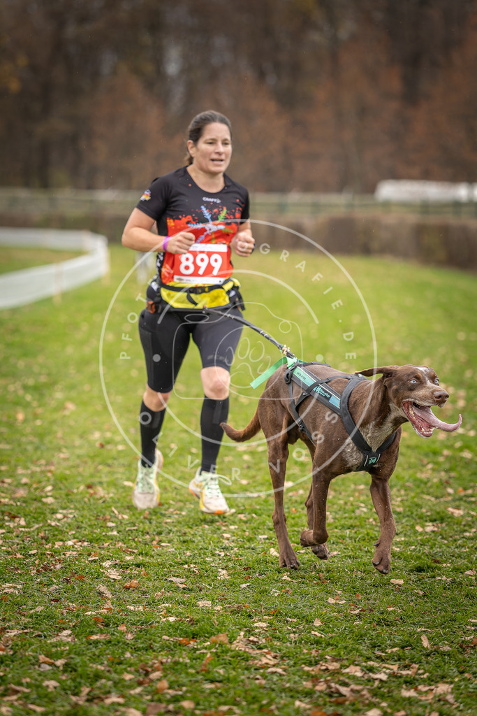 CaniXpix_DV3A6930 | Hundefotografie, Tierfotograf, Pfotenfotografie, Fotoshooting Hund, Hunde Portrait, Hundesport, Hundeportraits, Heideshooting, Hunde, Sportfotograf, Hundefotograf, Turnierhundsport, THS,  - Realisiert mit Pictrs.com