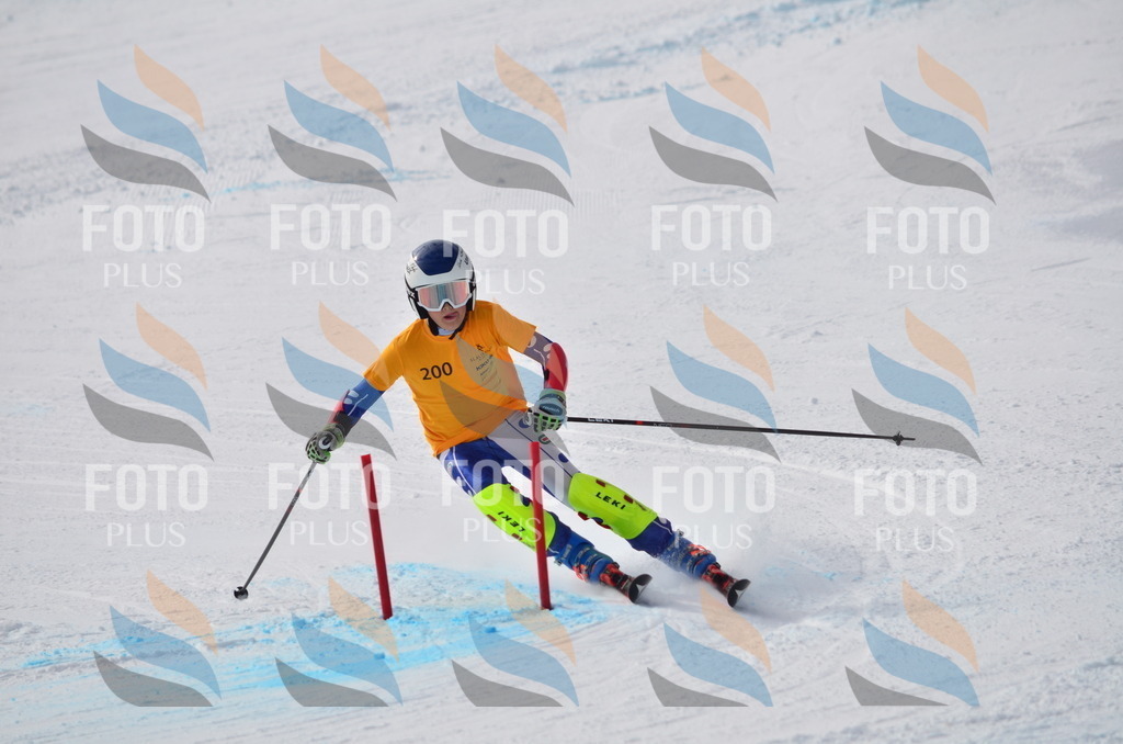 C8113 | holidayphoto