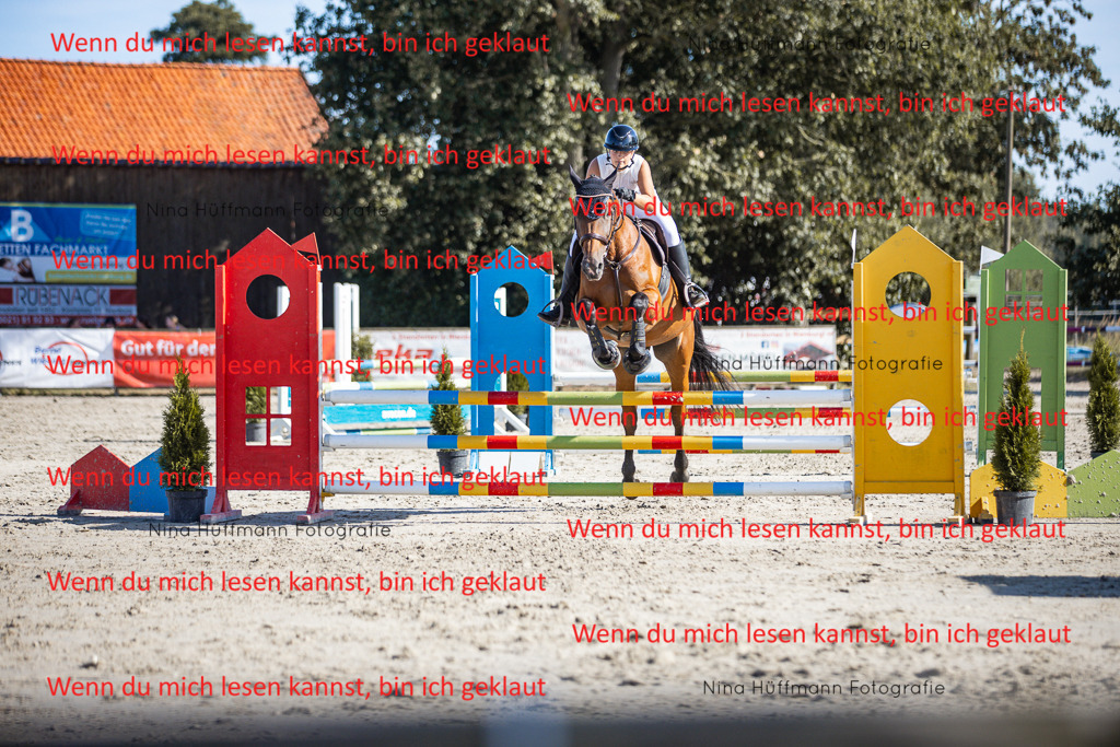 BK1A7273 | Turnierbilder Turnierfotos Nina Hüffmann Turnierfotografie Pferdefotografie Tierzeichnung Haustierzeichnung Pferdezeichnung Hundezeichnung Videograf  - Realisiert mit Pictrs.com