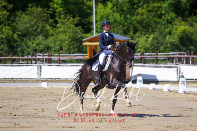 DKP42315 | Turniersportfotografie; Pferdefotografie; Dressurfotografie