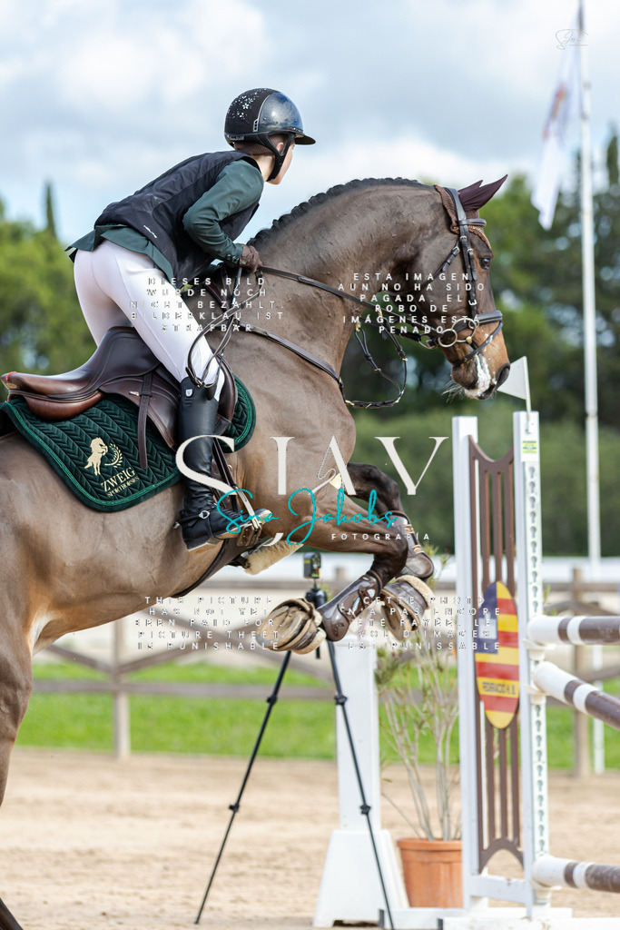 IMG_2789 | s-jay-photography - Realisiert mit Pictrs.com