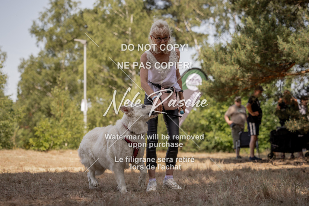 nelerasche_soDD2_199 | nelerasche